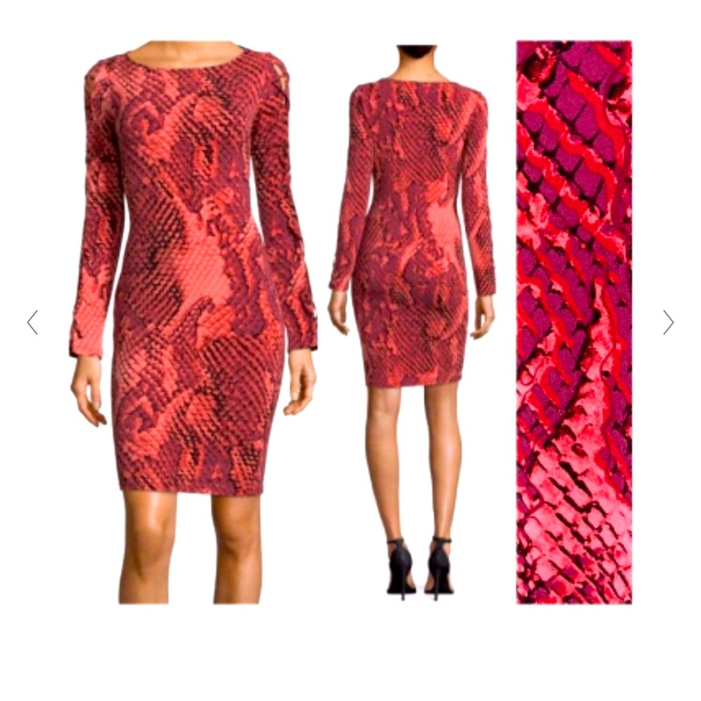 Project Runway Dress